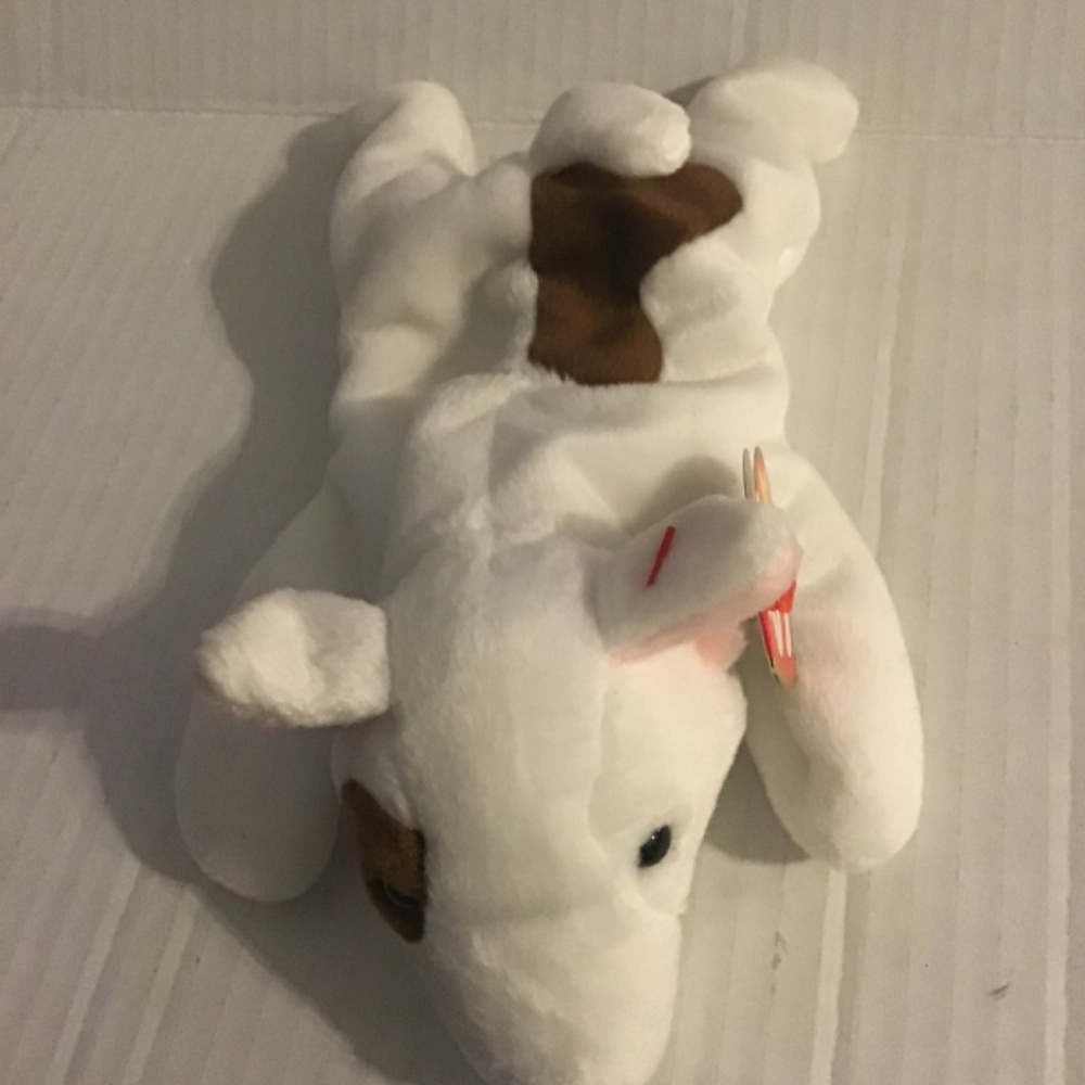 Ty - Picture 6 of 9